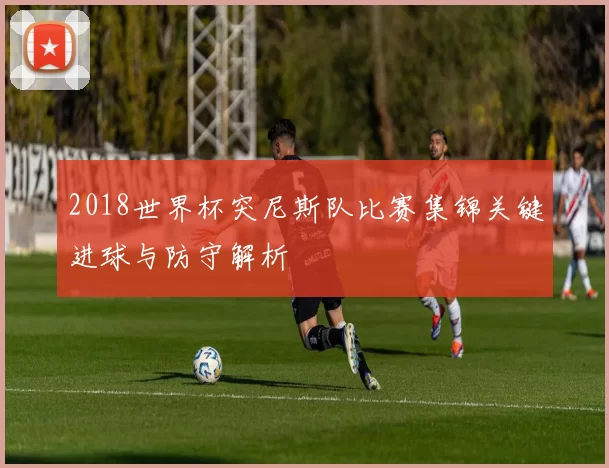 2018世界杯突尼斯队比赛集锦关键进球与防守解析