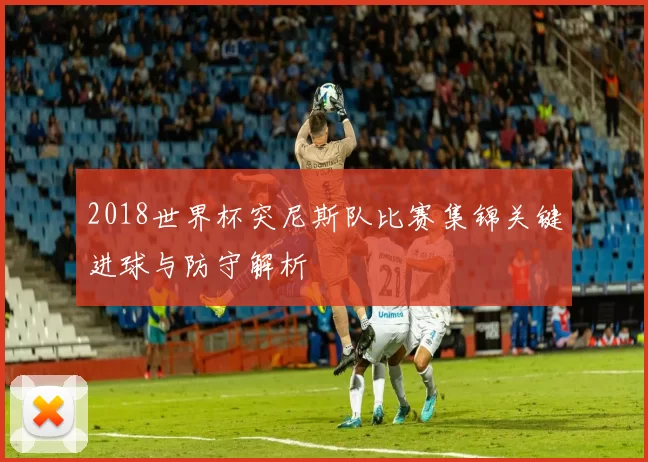 2018世界杯突尼斯队比赛集锦关键进球与防守解析
