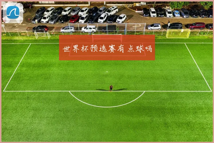 世界杯预选赛有点球吗