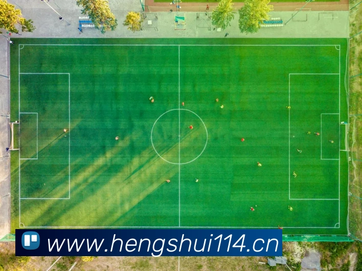 数据分析功能
